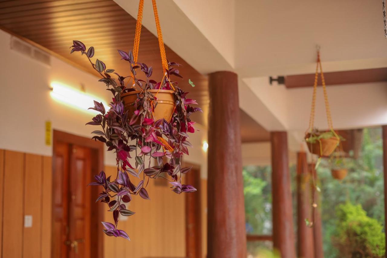 Swastha Plantation Homestay Kaniyāmbetta Екстериор снимка