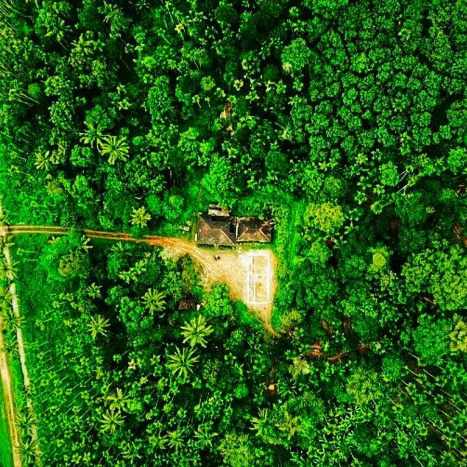 Swastha Plantation Homestay Kaniyāmbetta Екстериор снимка