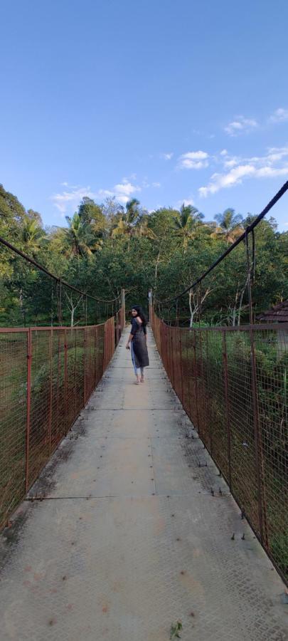 Swastha Plantation Homestay Kaniyāmbetta Екстериор снимка