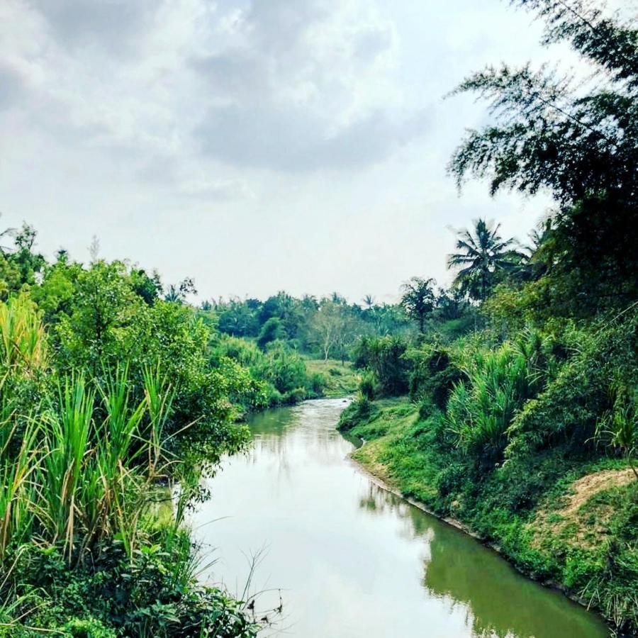 Swastha Plantation Homestay Kaniyāmbetta Екстериор снимка